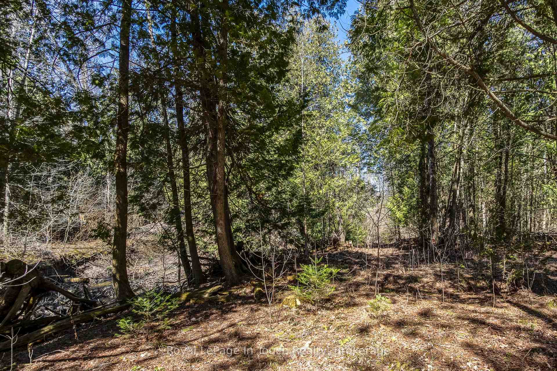 Photo 11 of LOT 1 Rue Karola Road, Tiny, Rural Tiny — HOMEH