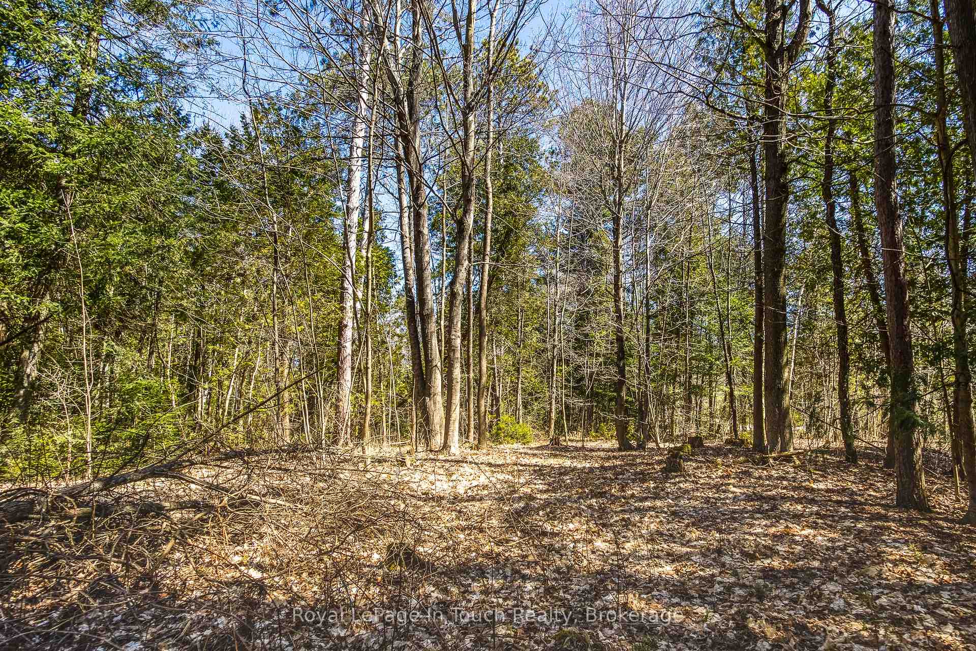 Photo 12 of LOT 1 Rue Karola Road, Tiny, Rural Tiny — HOMEH