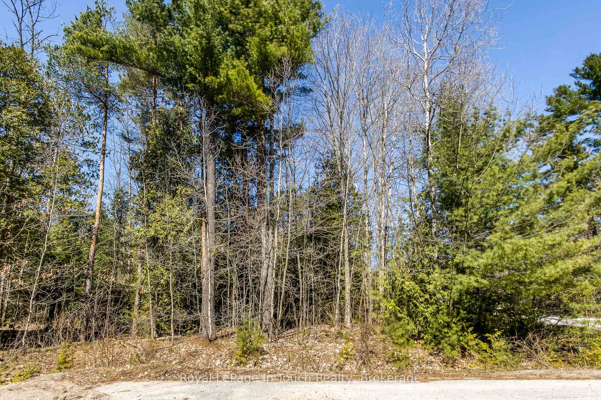 Photo 13 of LOT 1 Rue Karola Road, Tiny, Rural Tiny — HOMEH