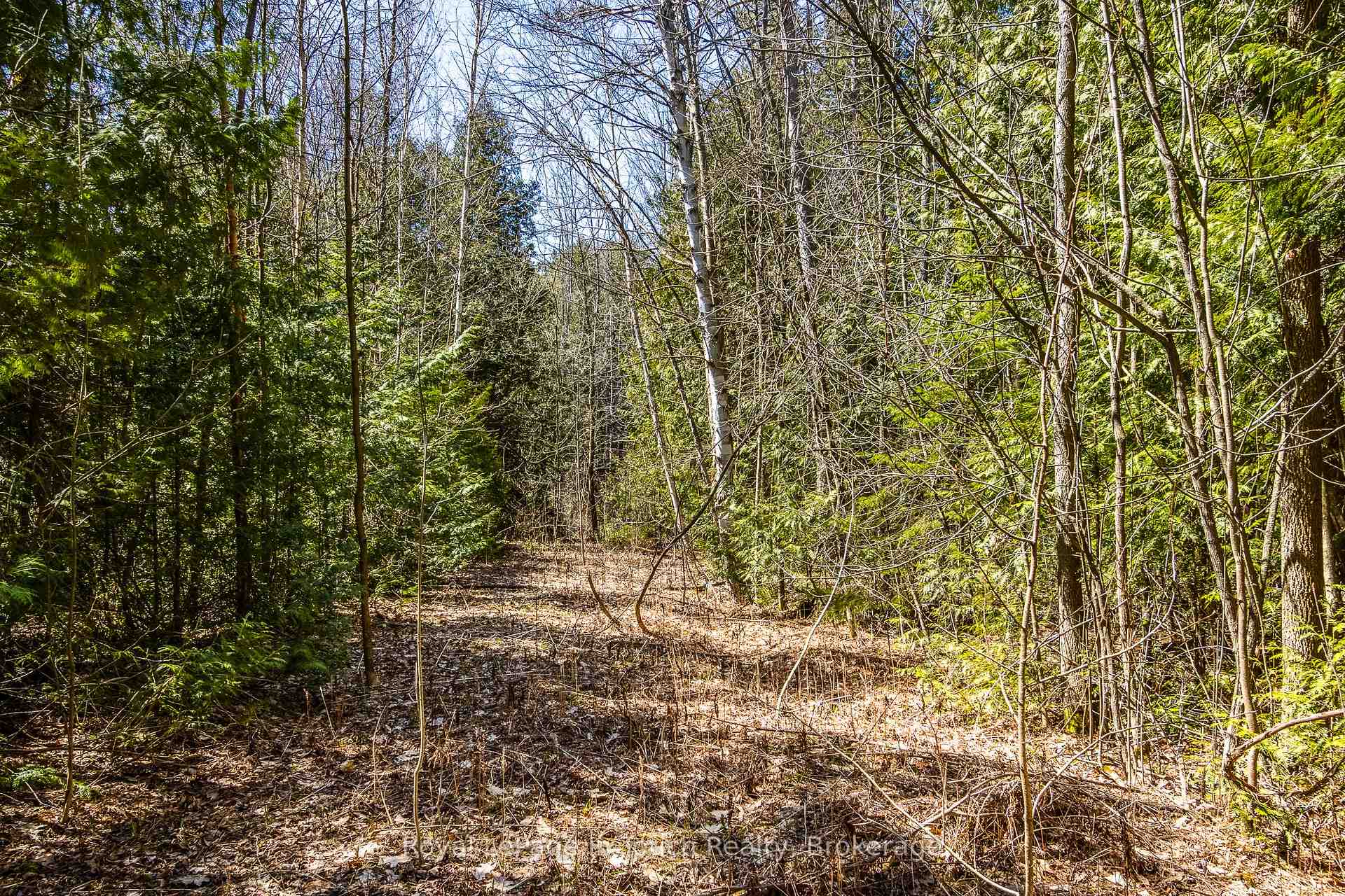 Photo 15 of LOT 1 Rue Karola Road, Tiny, Rural Tiny — HOMEH