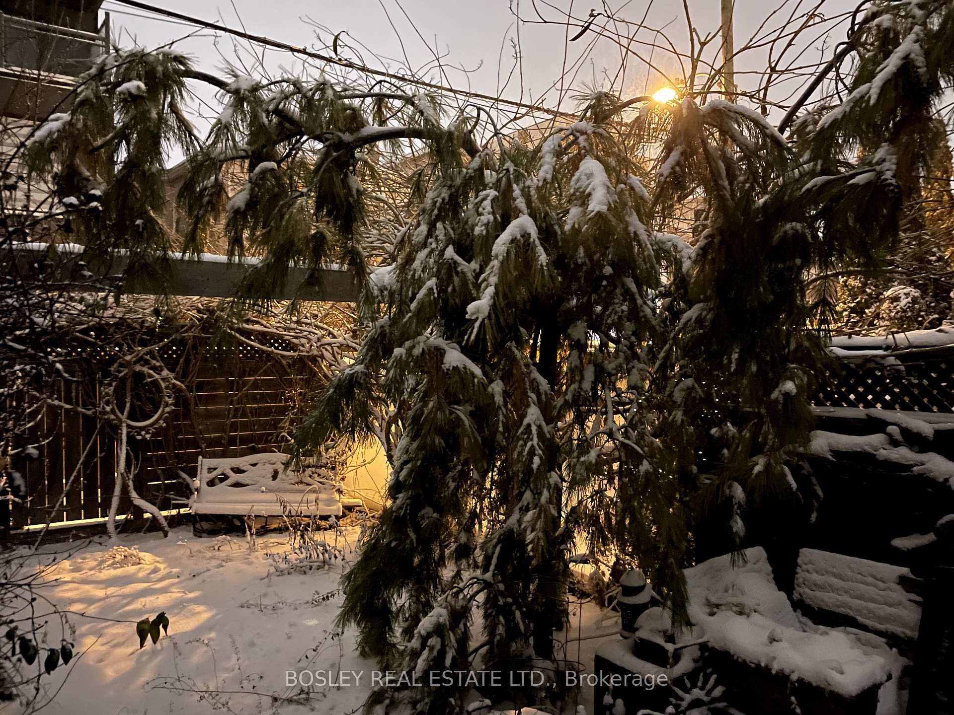 Photo 14 of 44 Henderson Avenue W, Toronto, Trinity-Bellwoods — HOMEH