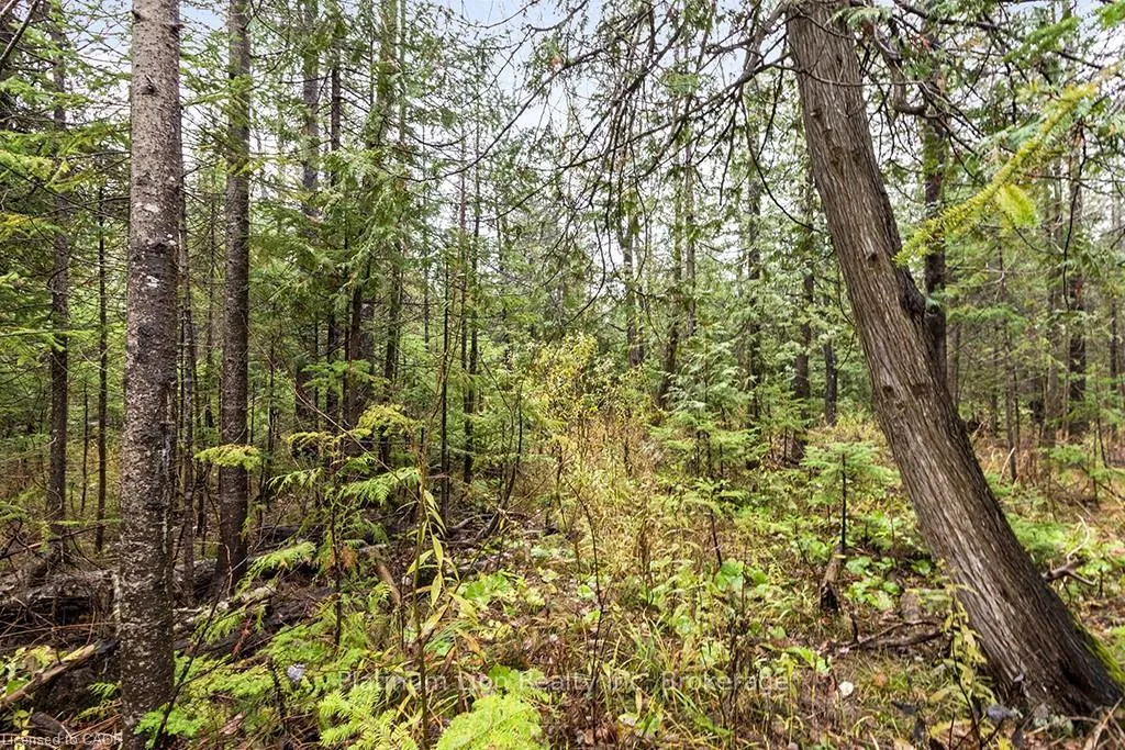 Photo 9 of PT LT11 Concession 11, West Grey — HOMEH