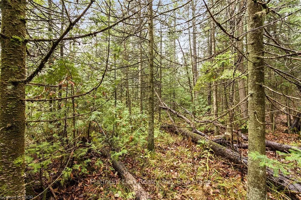 Photo 12 of PT LT11 Concession 11, West Grey — HOMEH