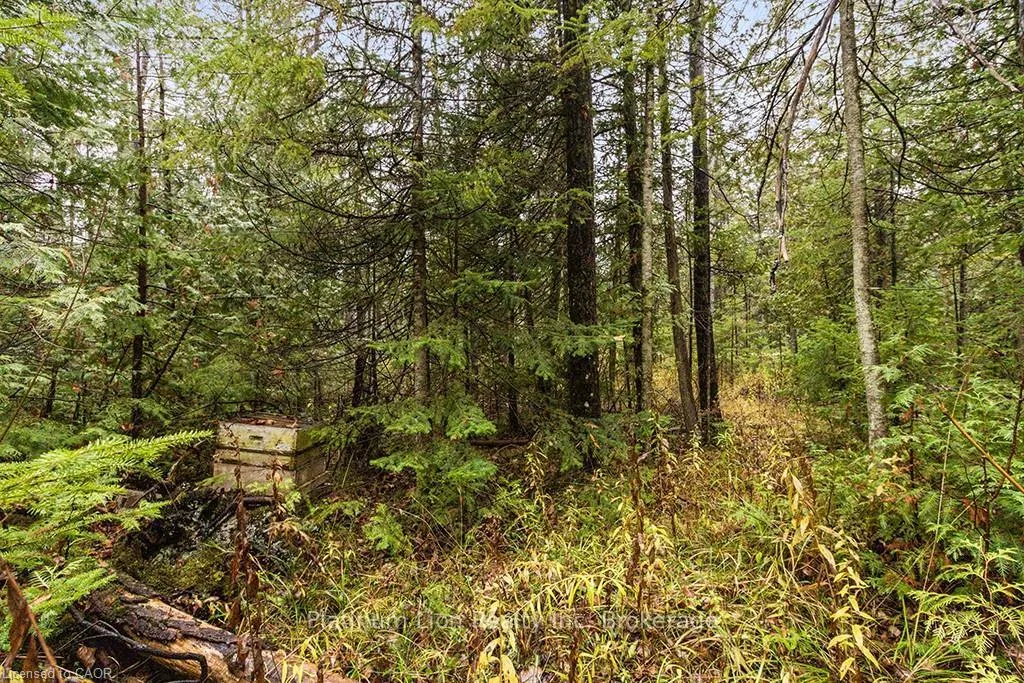 Photo 13 of PT LT11 Concession 11, West Grey — HOMEH