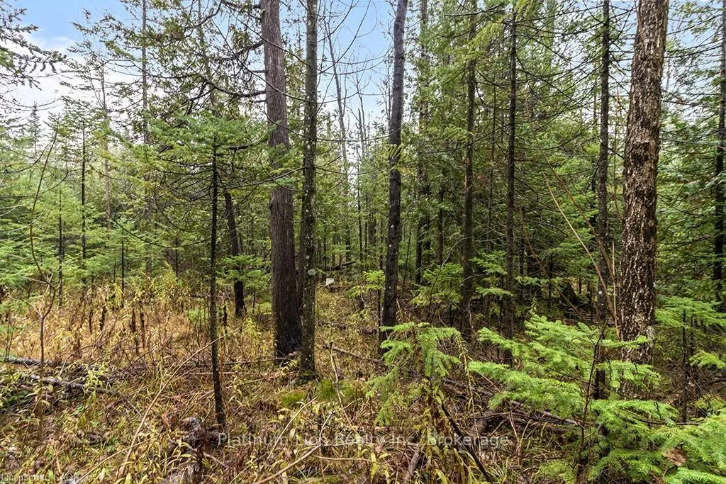 Photo 14 of PT LT11 Concession 11, West Grey — HOMEH