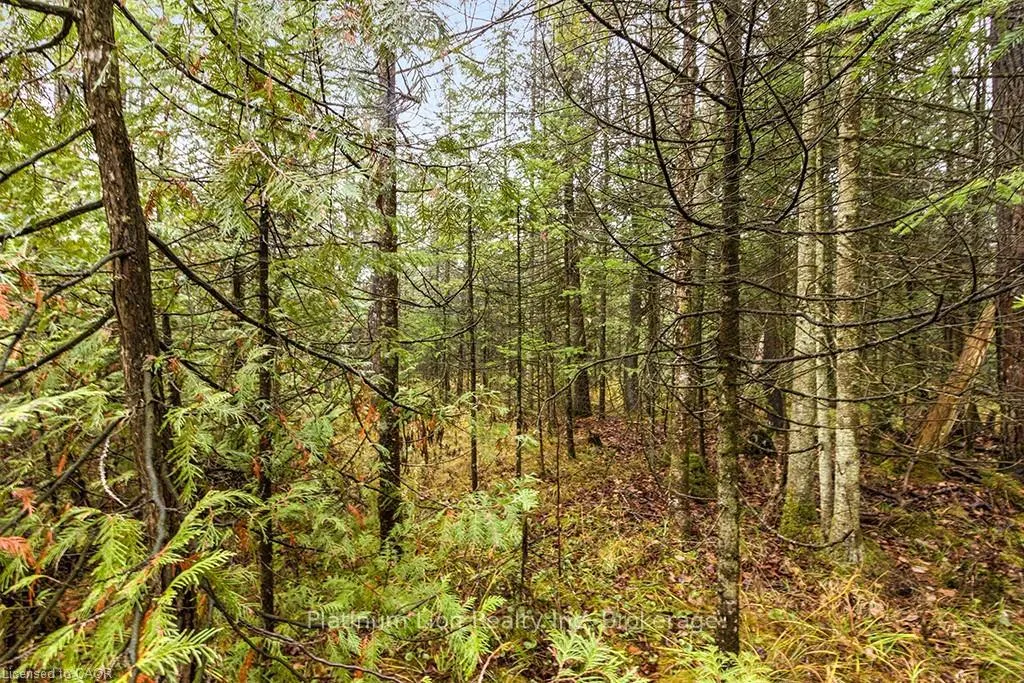 Photo 15 of PT LT11 Concession 11, West Grey — HOMEH
