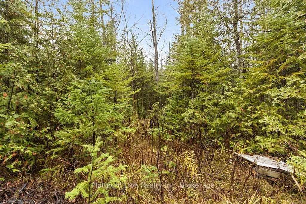 Photo 17 of PT LT11 Concession 11, West Grey — HOMEH