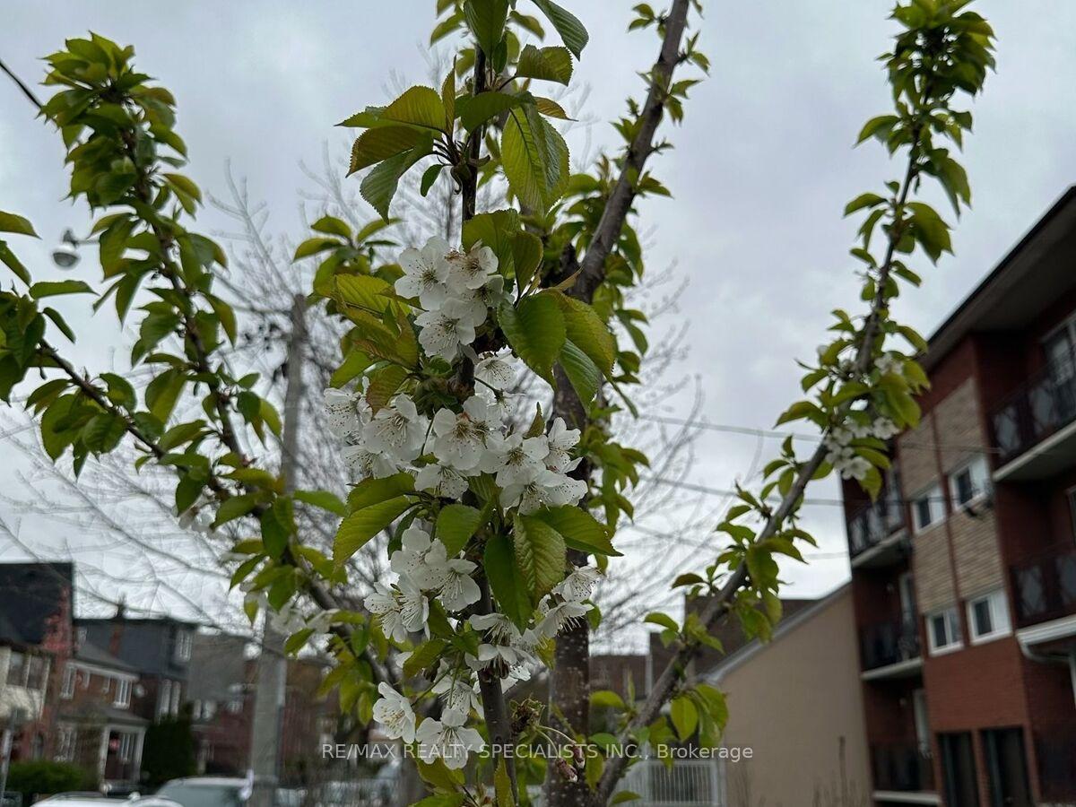 Photo 35 of 29 Moutray Street, Toronto, Little Portugal — HOMEH
