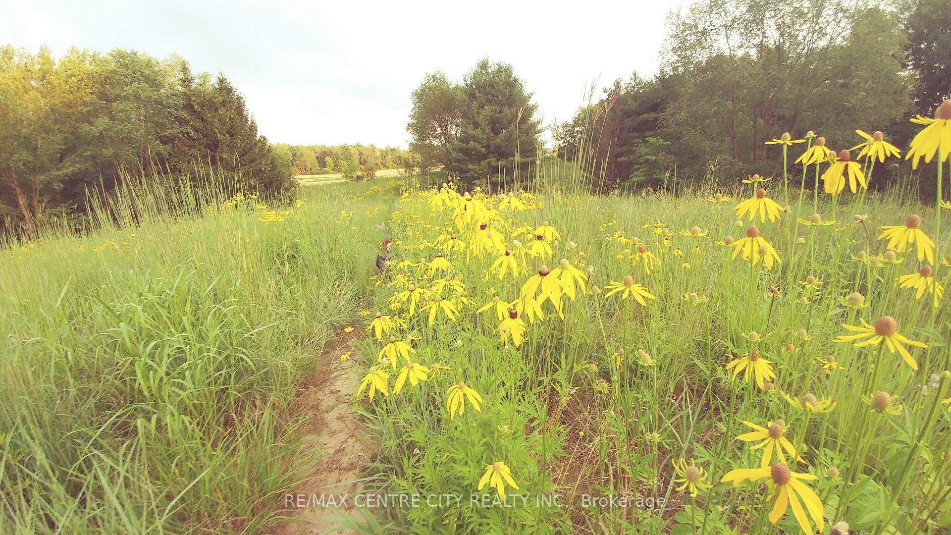 Photo 35 of 5561 Marion Street, Thames Centre, Rural Thames Centre — HOMEH