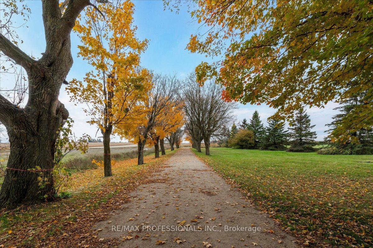 Photo 1 of 100 Tiny Flos Townline, Tiny, Rural Tiny — HOMEH