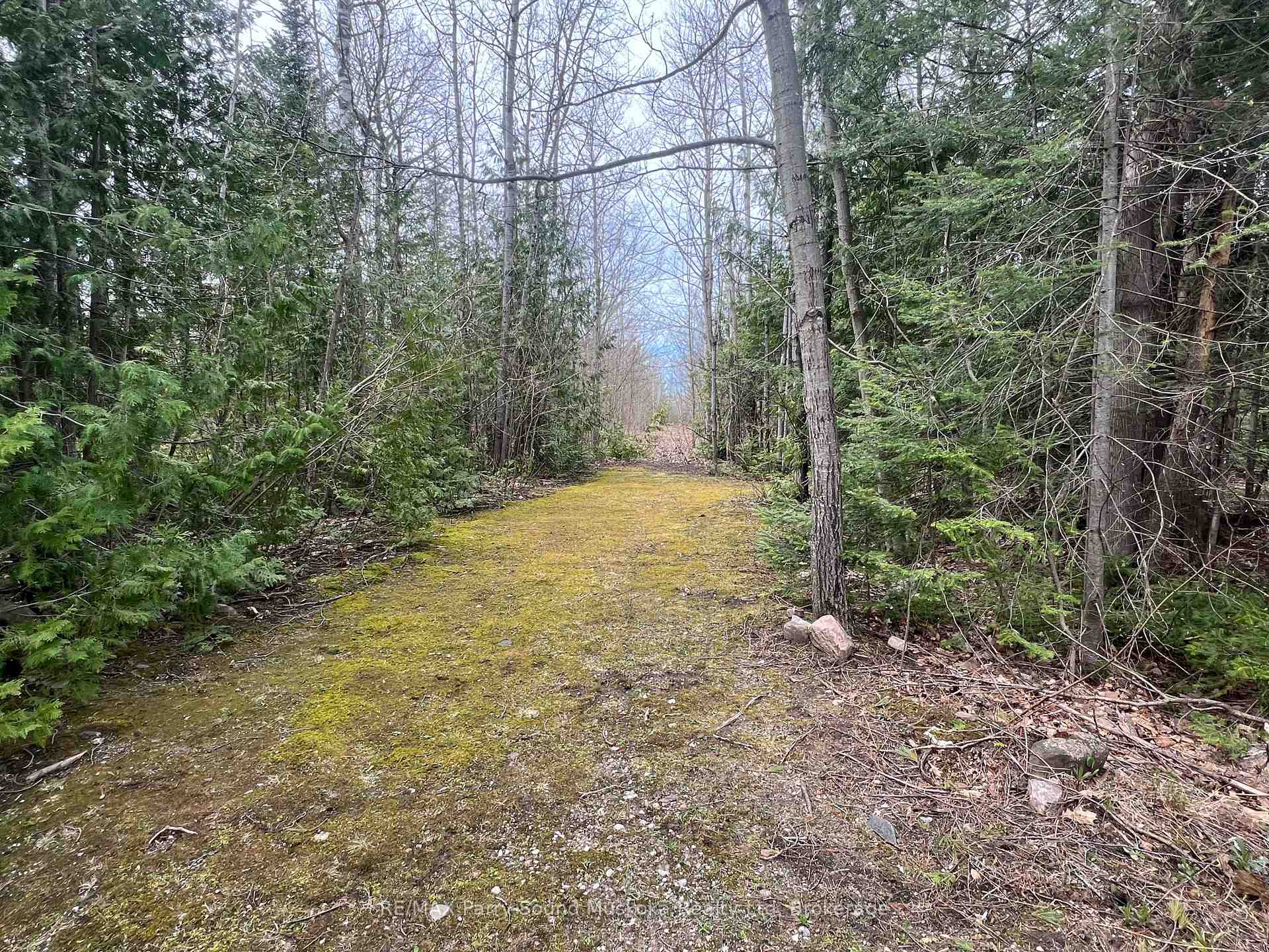 Photo 40 of 52 Meadows Avenue, Tay, Rural Tay — HOMEH