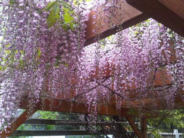 Photo 36 of 25 Roseneath Gardens, Toronto, Oakwood Village — HOMEH