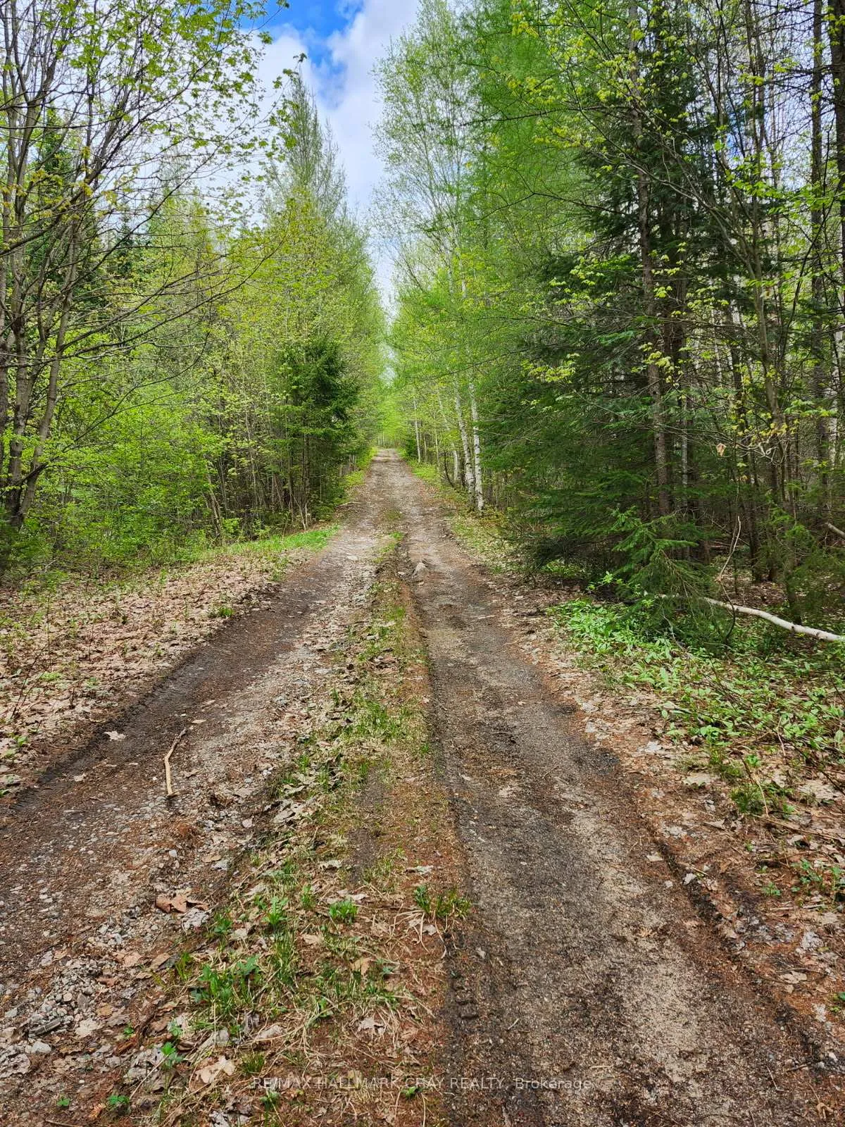 Photo 3 of PT LOTS 24 & 25 Con 5 Concession, Ryerson — HOMEH