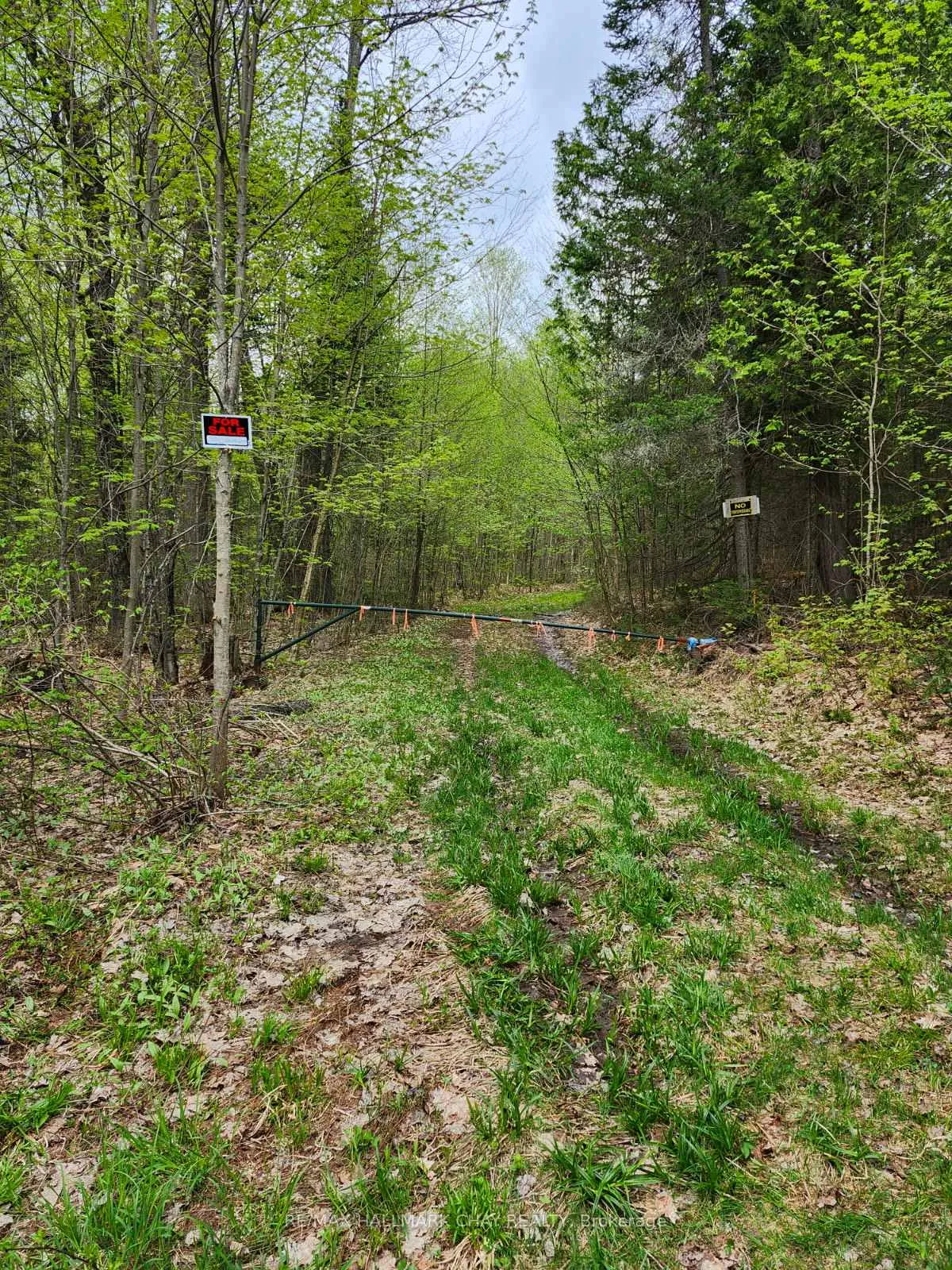 Photo 6 of PT LOTS 24 & 25 Con 5 Concession, Ryerson — HOMEH