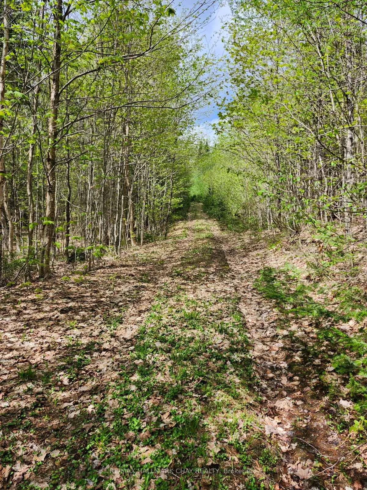 Photo 7 of PT LOTS 24 & 25 Con 5 Concession, Ryerson — HOMEH