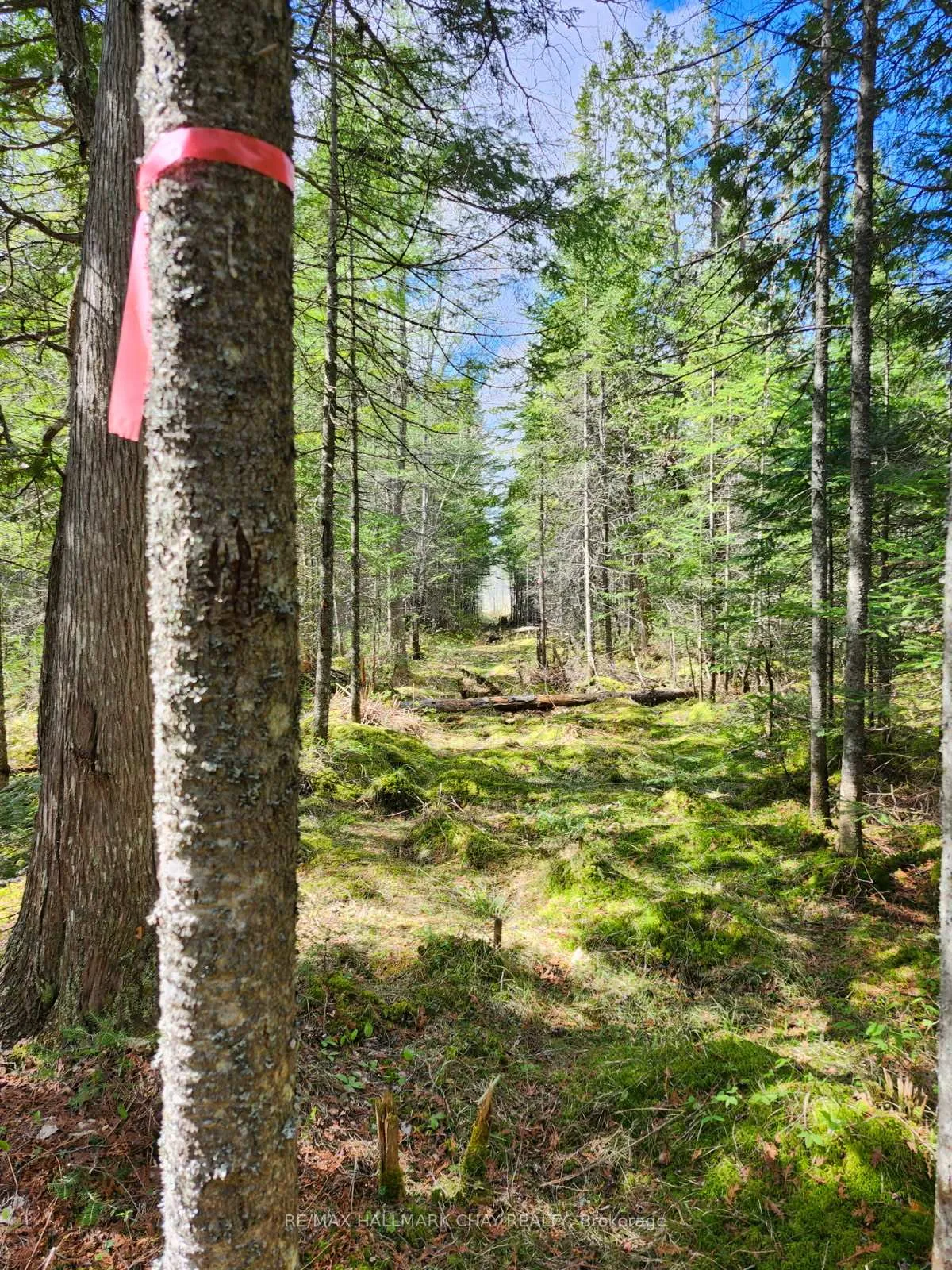 Photo 8 of PT LOTS 24 & 25 Con 5 Concession, Ryerson — HOMEH