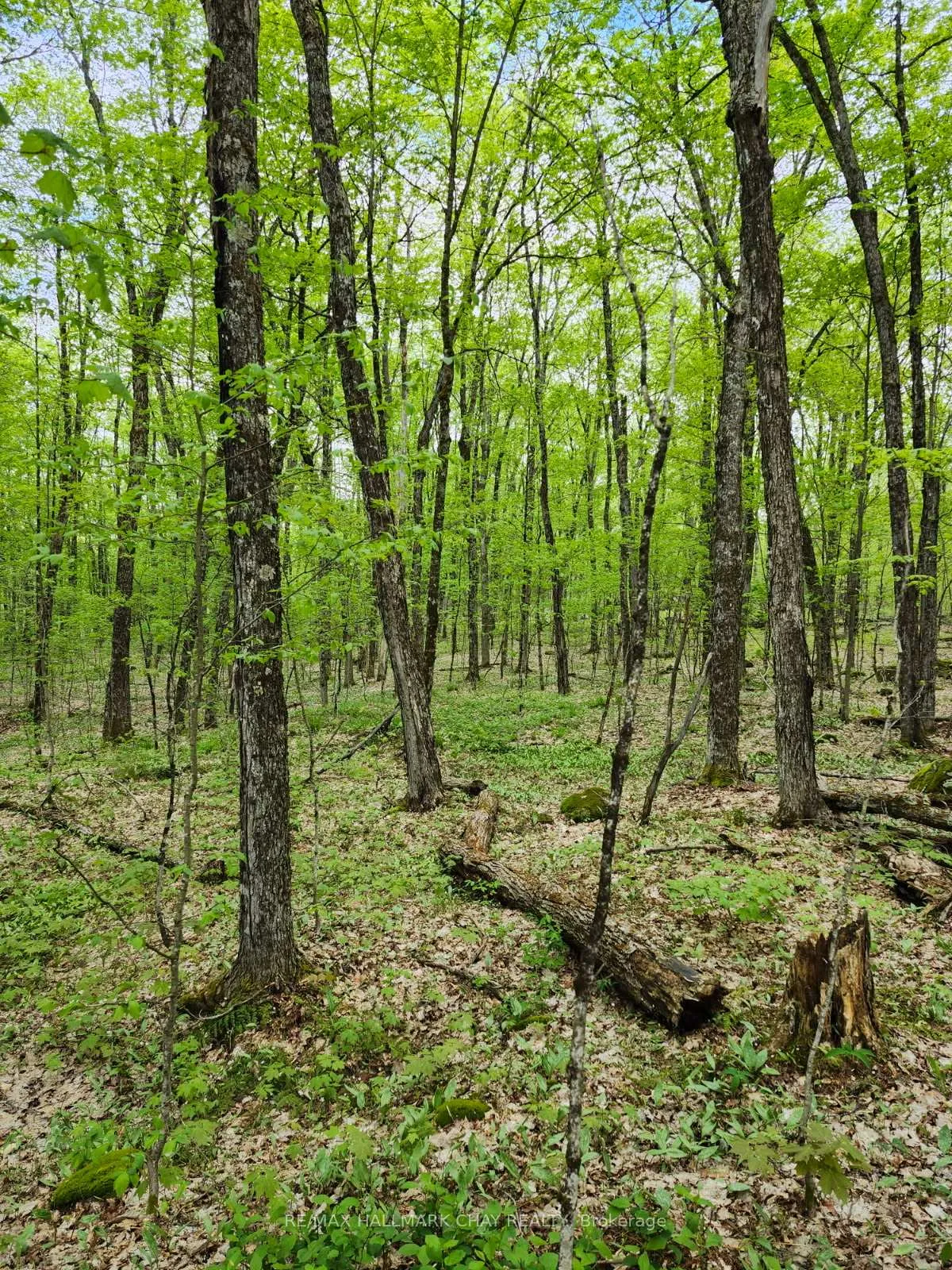 Photo 9 of PT LOTS 24 & 25 Con 5 Concession, Ryerson — HOMEH