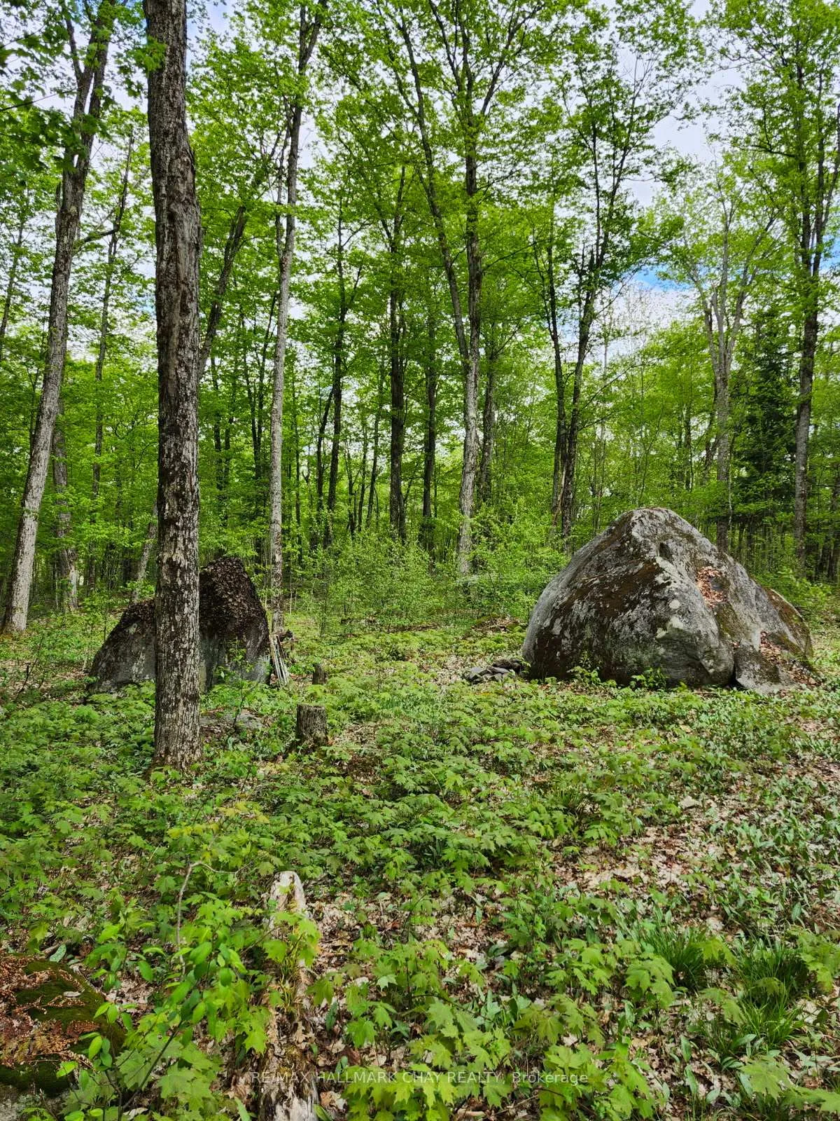 Photo 11 of PT LOTS 24 & 25 Con 5 Concession, Ryerson — HOMEH