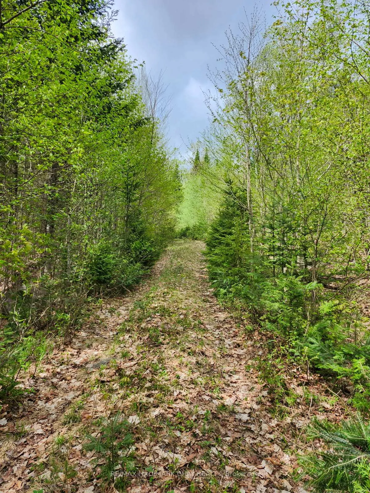 Photo 13 of PT LOTS 24 & 25 Con 5 Concession, Ryerson — HOMEH