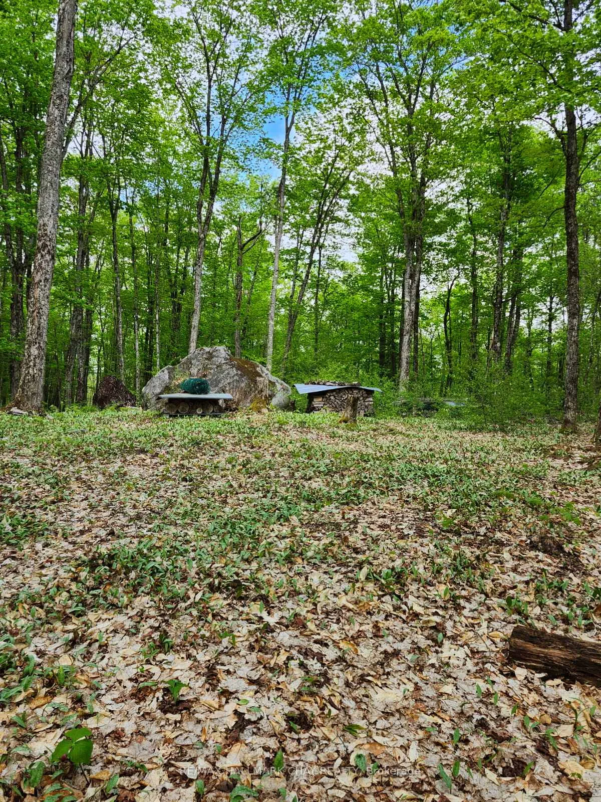 Photo 14 of PT LOTS 24 & 25 Con 5 Concession, Ryerson — HOMEH