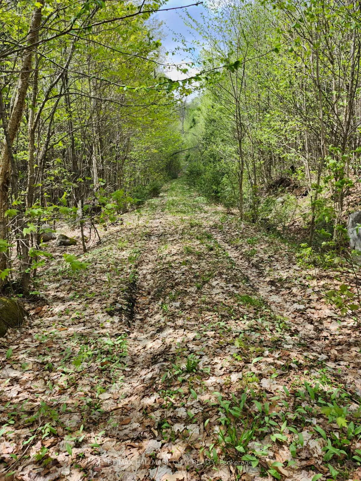 Photo 16 of PT LOTS 24 & 25 Con 5 Concession, Ryerson — HOMEH