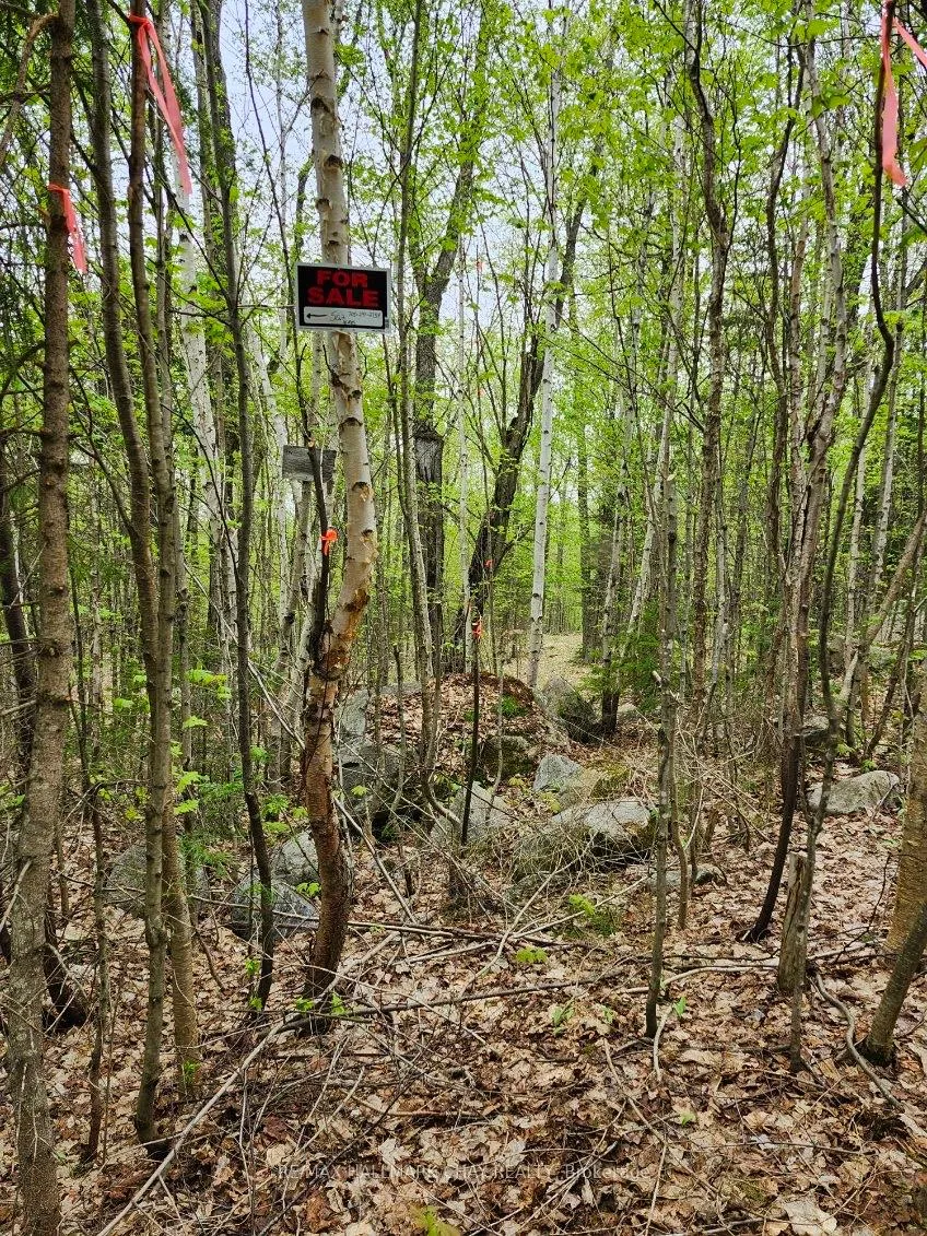 Photo 18 of PT LOTS 24 & 25 Con 5 Concession, Ryerson — HOMEH