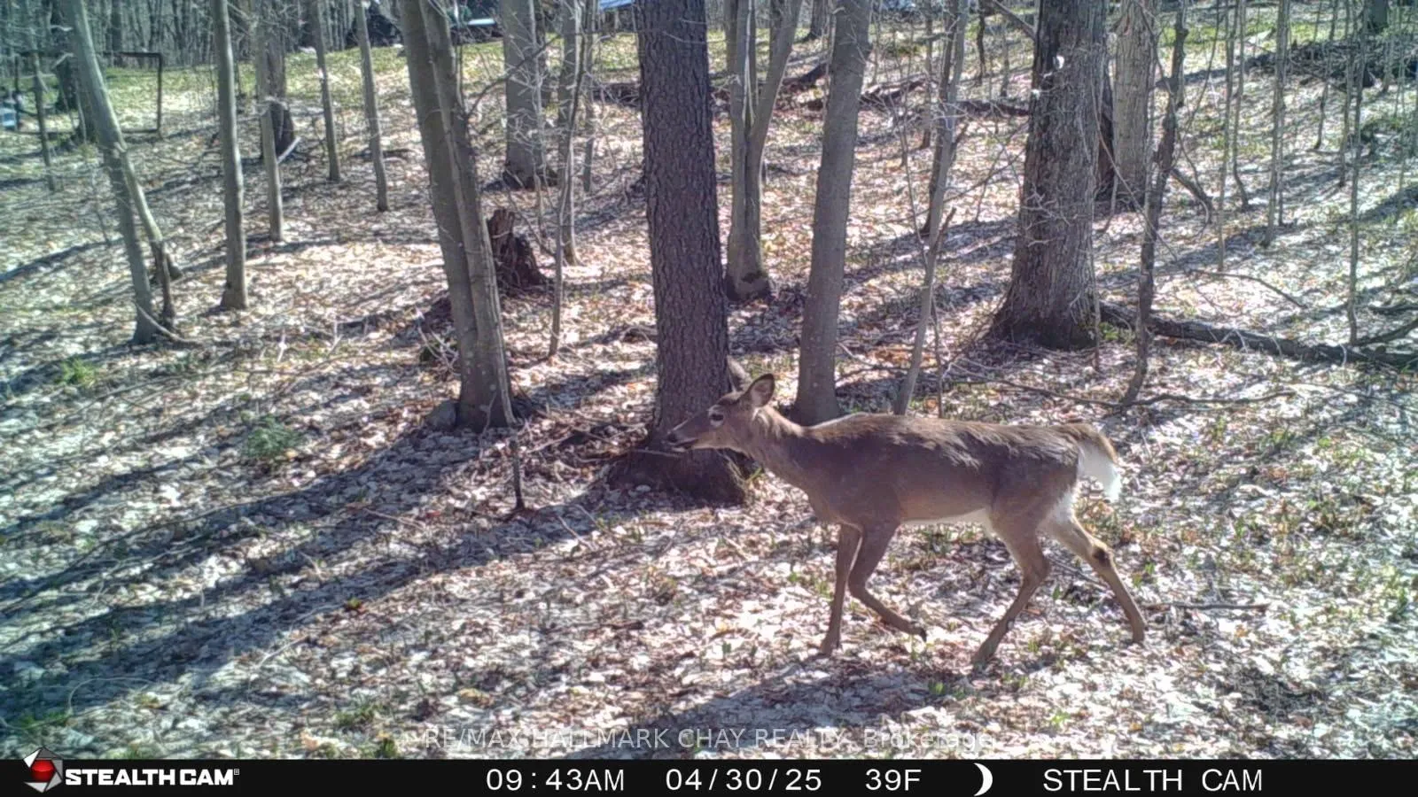 Photo 22 of PT LOTS 24 & 25 Con 5 Concession, Ryerson — HOMEH