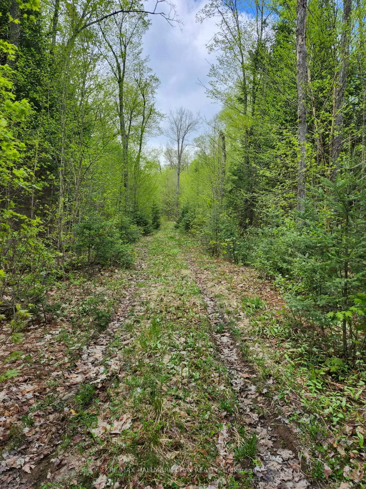 Photo 25 of PT LOTS 24 & 25 Con 5 Concession, Ryerson — HOMEH