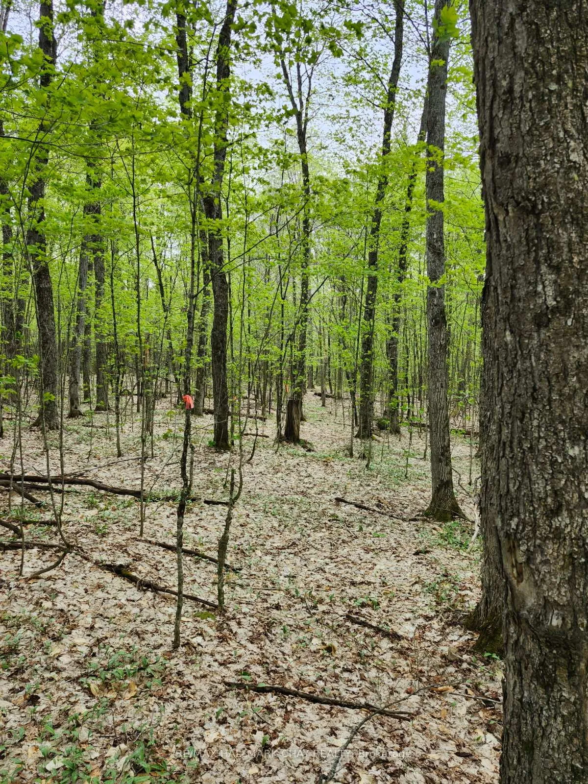 Photo 27 of PT LOTS 24 & 25 Con 5 Concession, Ryerson — HOMEH