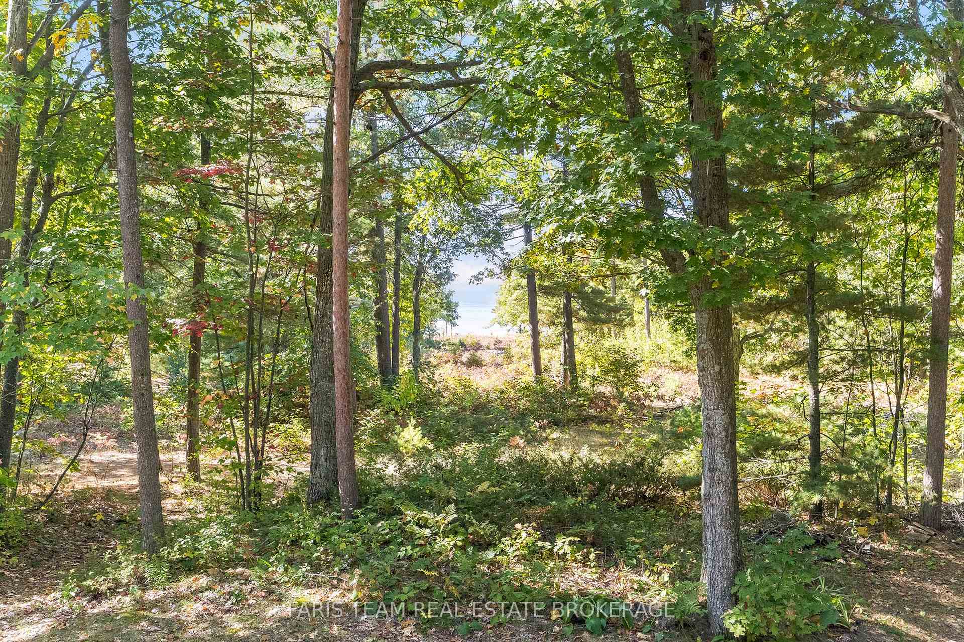 Photo 10 of 1292 Tiny Beaches Road N, Tiny, Rural Tiny — HOMEH