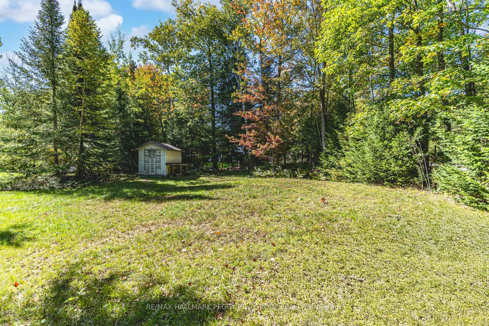 Photo 11 of 12 Doan Avenue, Tiny, Rural Tiny — HOMEH