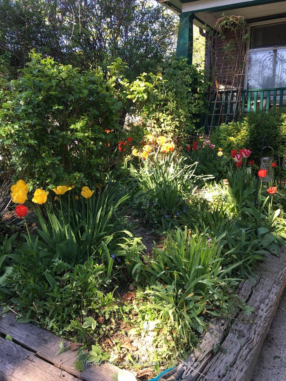 Photo 37 of 117 Bertmount Avenue, Toronto, South Riverdale — HOMEH