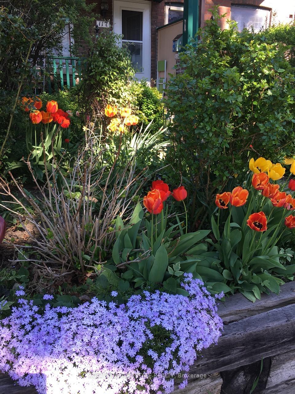 Photo 38 of 117 Bertmount Avenue, Toronto, South Riverdale — HOMEH