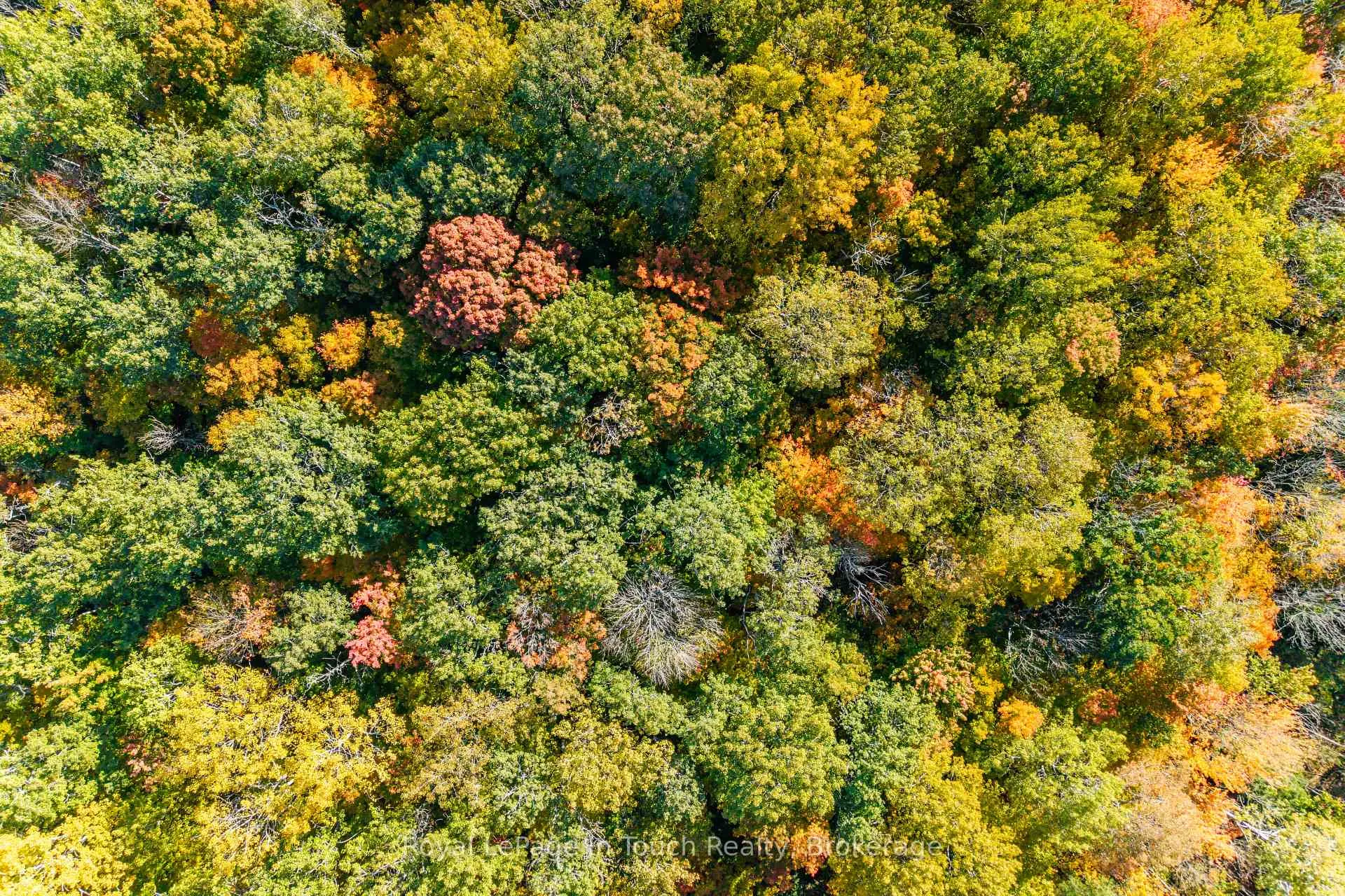 Photo 5 of 250 Peek -a- Boo Trail, Tiny, Rural Tiny — HOMEH
