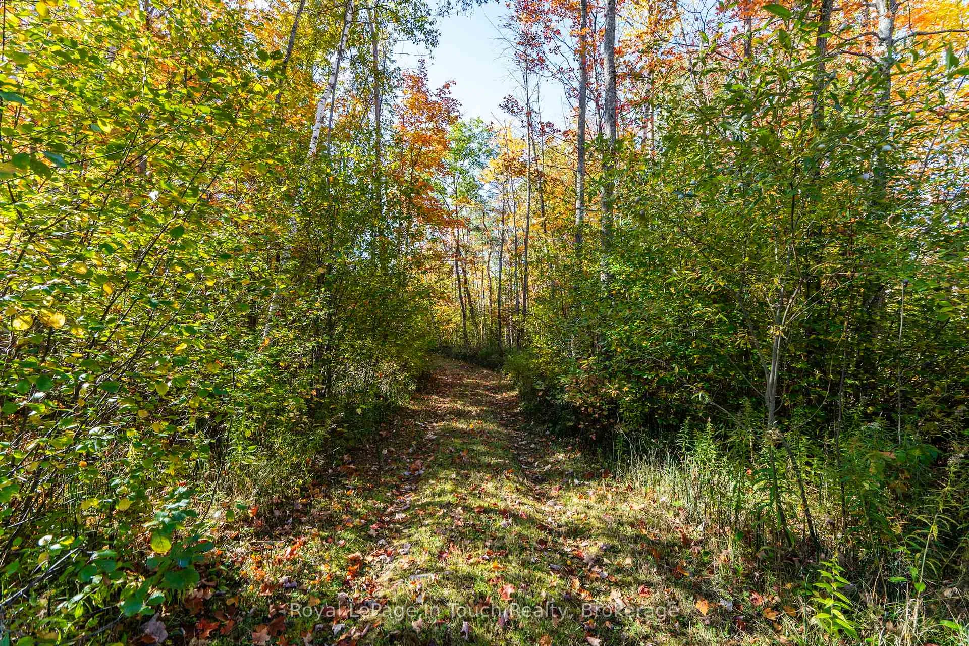 Photo 6 of 250 Peek -a- Boo Trail, Tiny, Rural Tiny — HOMEH