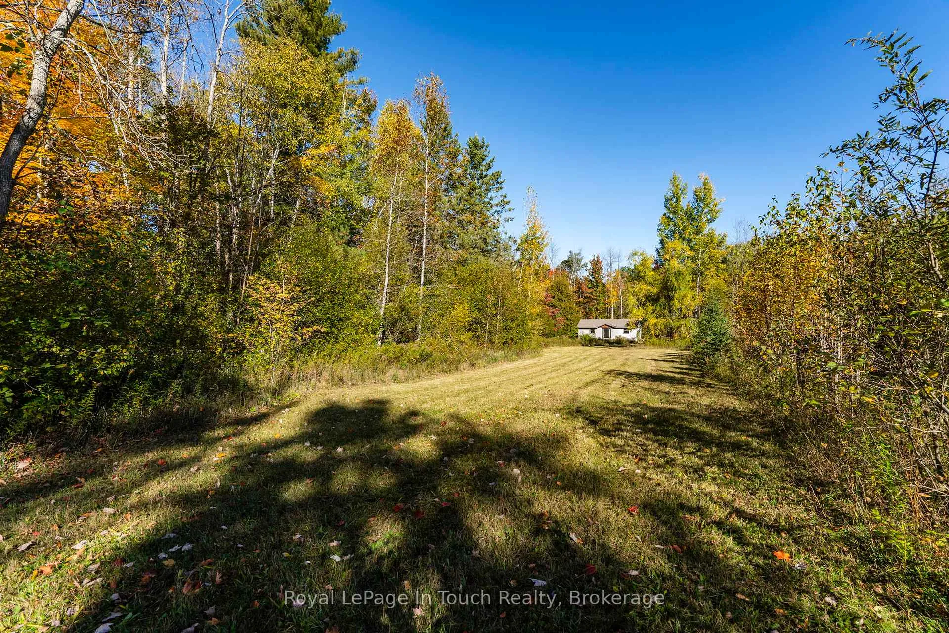 Photo 13 of 250 Peek -a- Boo Trail, Tiny, Rural Tiny — HOMEH