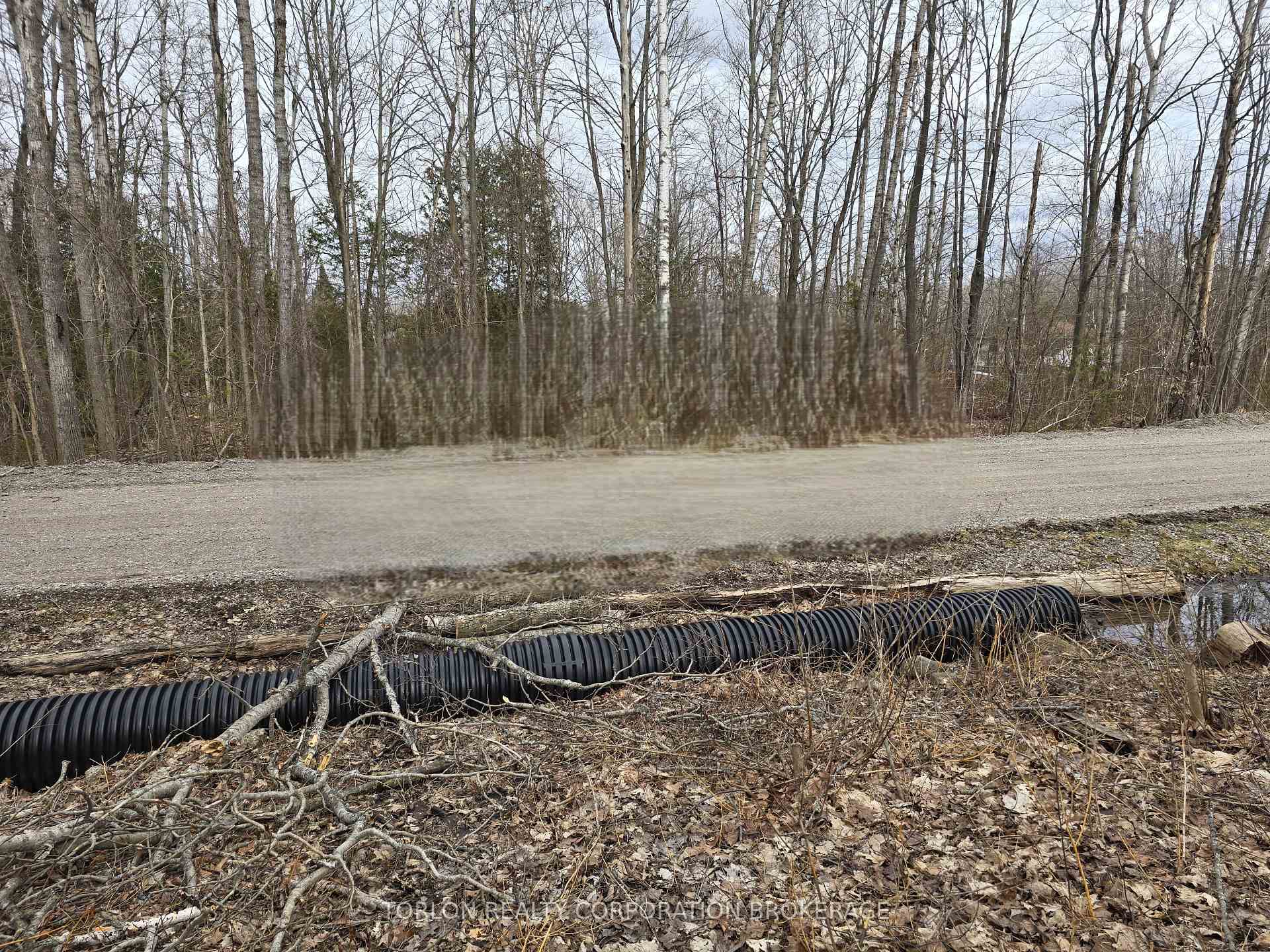 Photo 7 of 422 Young Avenue, Tay, Port McNicoll — HOMEH