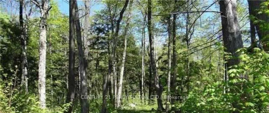 Photo 2 of 118 Nippissing Ridge Road, Tiny, Rural Tiny — HOMEH