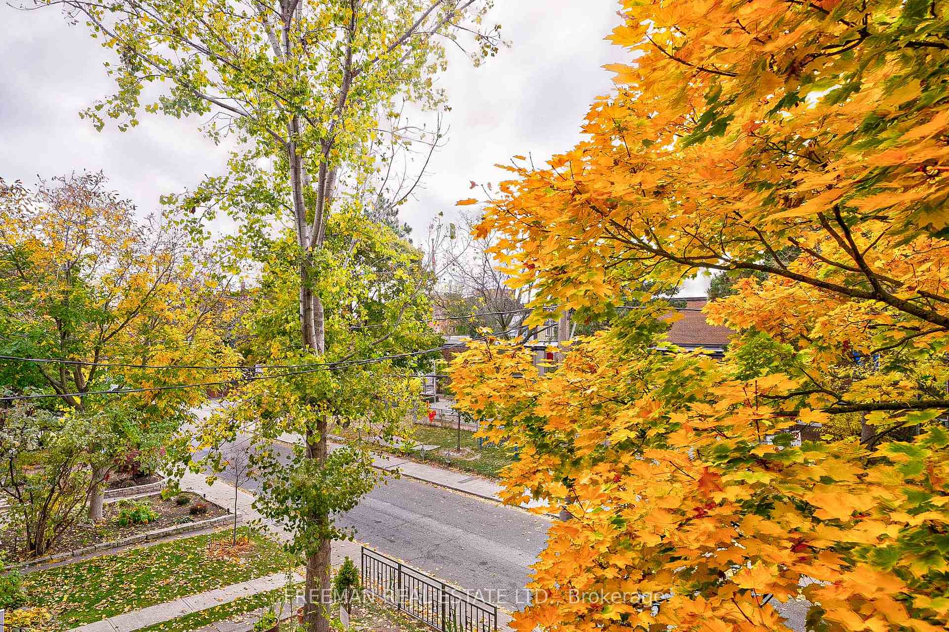 Photo 23 of 433 Manning Avenue, Toronto, Palmerston-Little Italy — HOMEH