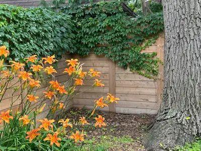 Photo 47 of 49 Dearbourne Avenue, Toronto, North Riverdale — HOMEH