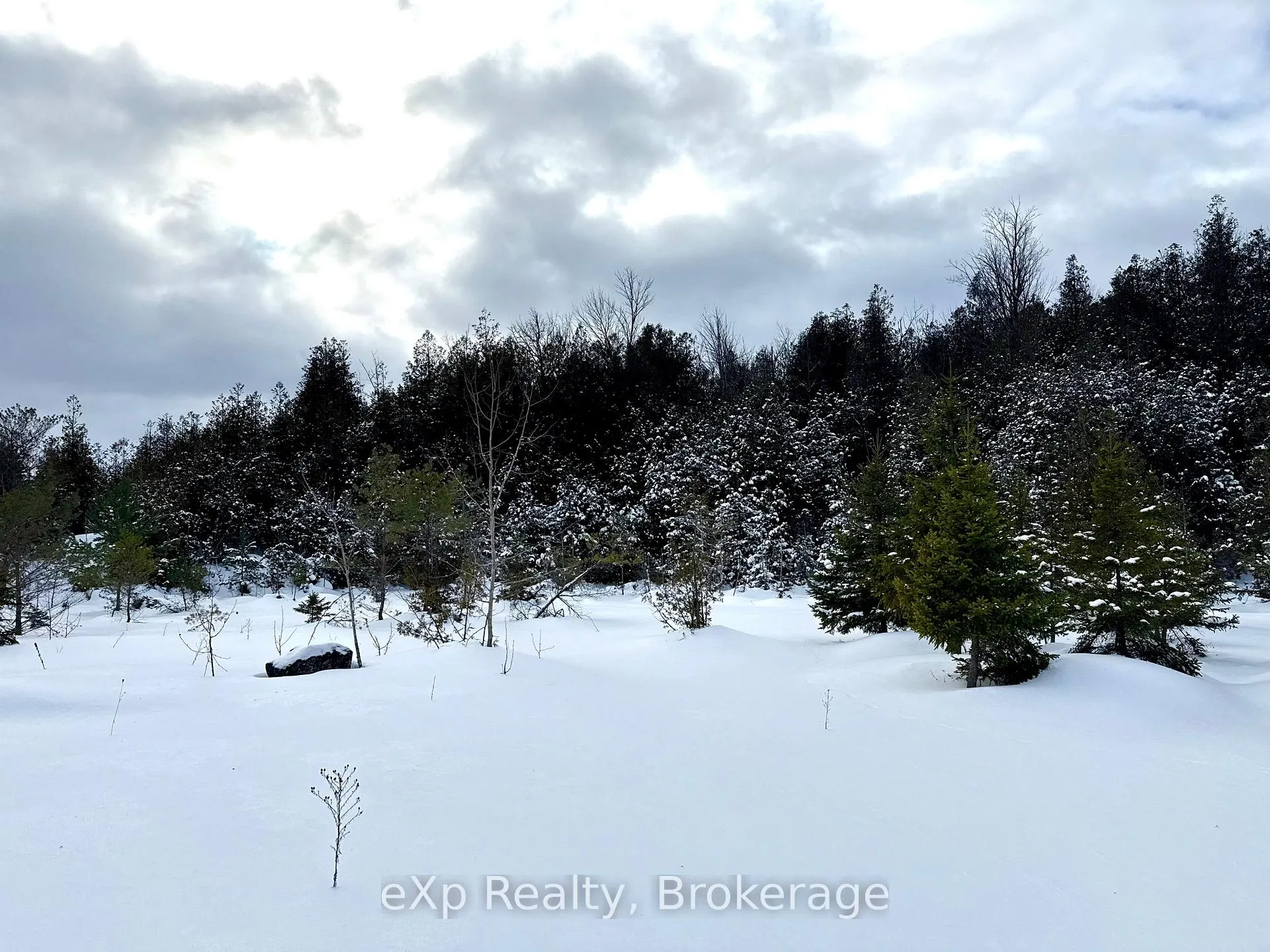 Photo 20 of 173266 Mulock Road, West Grey — HOMEH