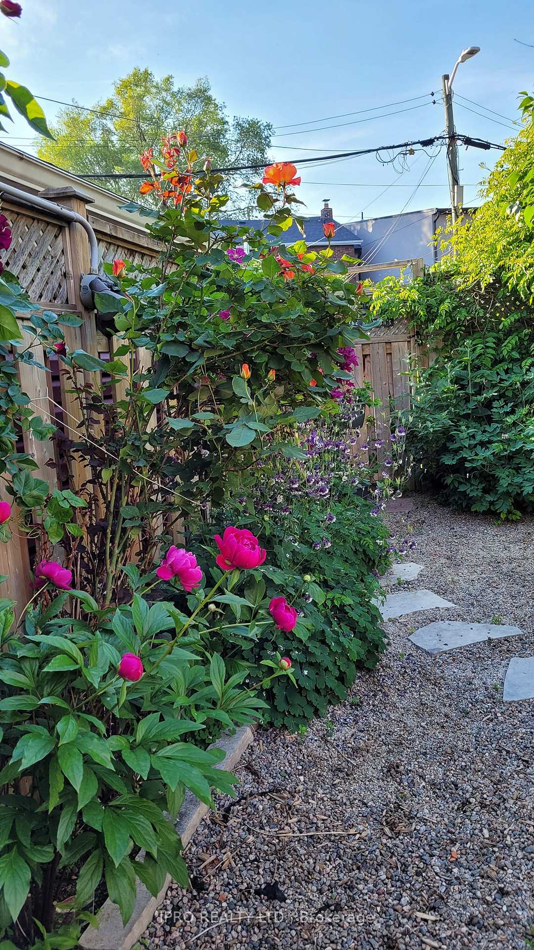Photo 42 of 24 Mosley Street, Toronto, South Riverdale — HOMEH
