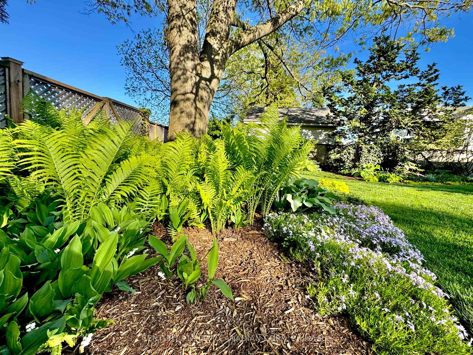 Photo 47 of 2344 Bentim Road, Strathroy-Caradoc, Mount Brydges — HOMEH