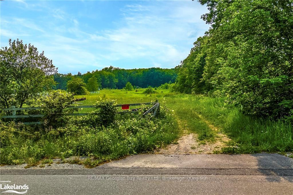 Photo 1 of Newton Street, Tay, Rural Tay — HOMEH