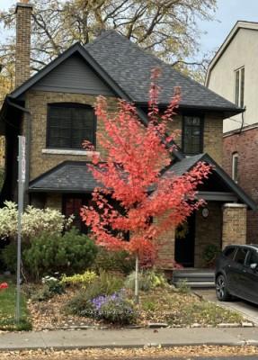 Photo 1 of 364 Rosewell Avenue, Toronto, Lawrence Park South — HOMEH