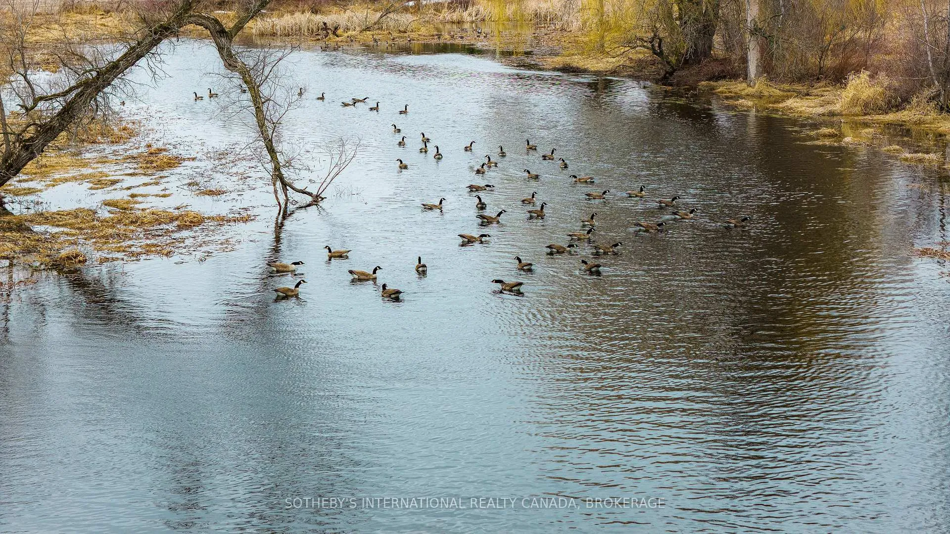 Photo 7 of Shanly Road, Edwardsburgh/Cardinal, Edwardsburgh/Cardinal Twp — HOMEH