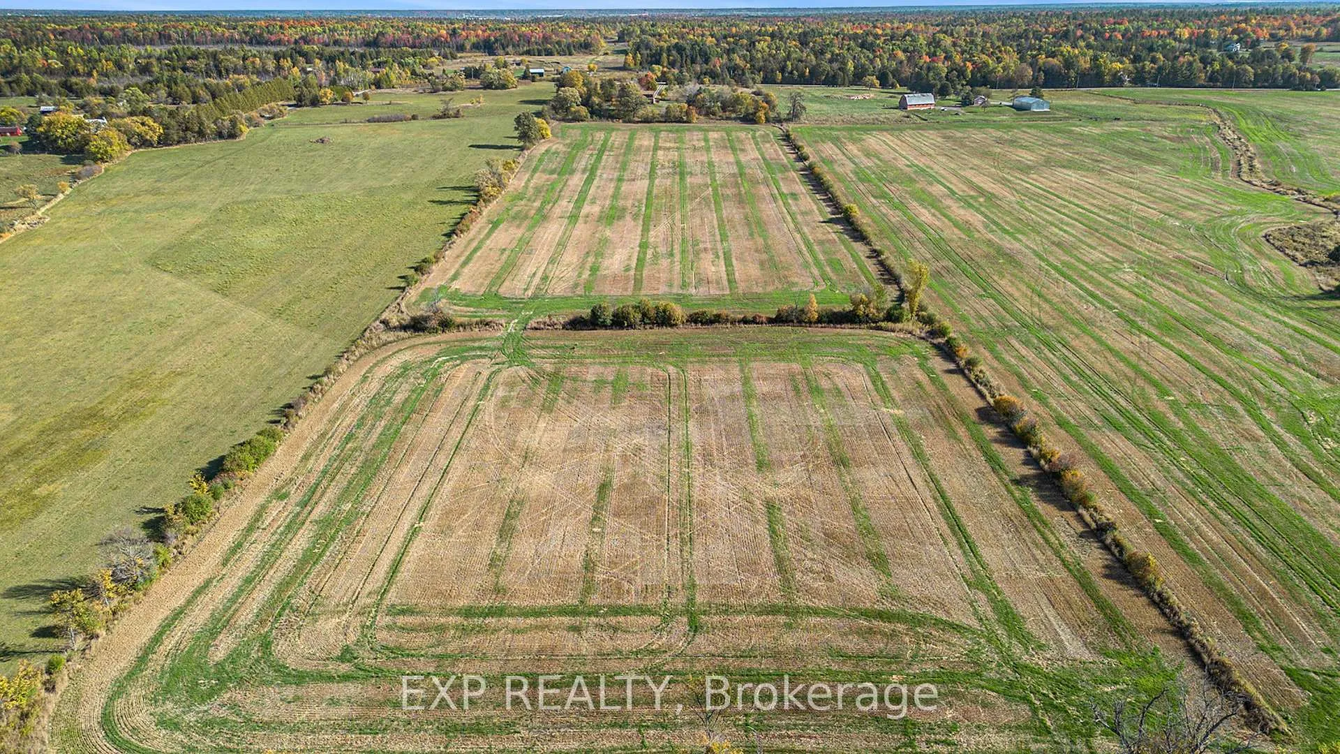 Photo 39 of 2193 Peter Robinson Road, Ottawa, Huntley Ward (North West) — HOMEH