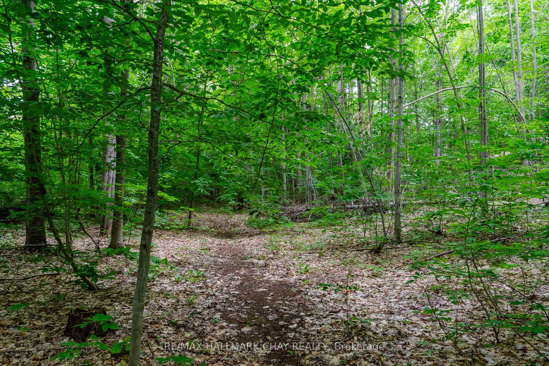Photo 49 of 2 Timberland Court S, Tiny, Rural Tiny — HOMEH