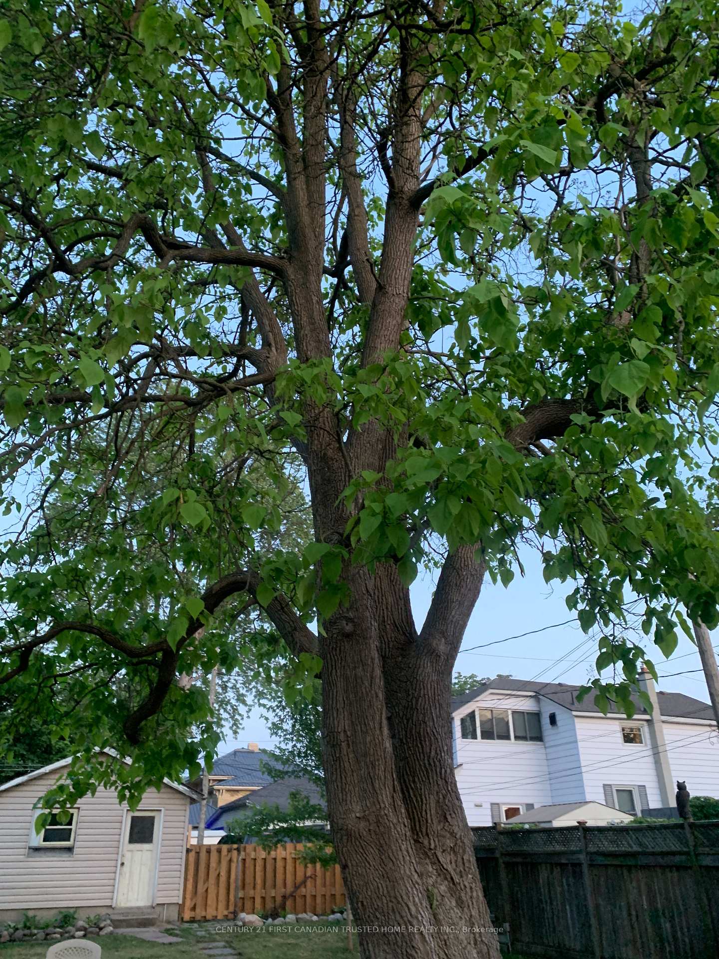 Photo 31 of 114 Front Street W, Strathroy-Caradoc, NW — HOMEH