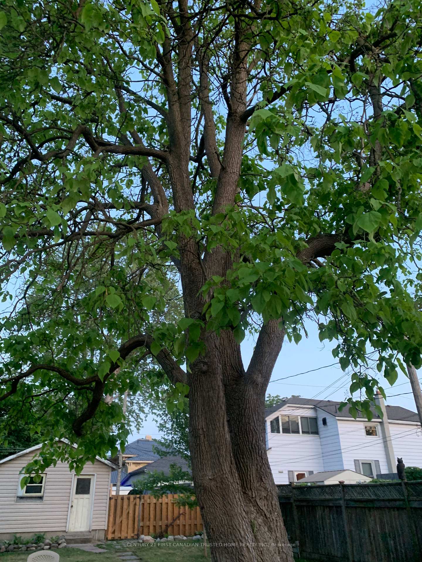 Photo 32 of 114 Front Street W, Strathroy-Caradoc, NW — HOMEH